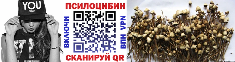 как найти   Томилино  Галлюциногенные грибы GOLDEN TEACHER 
